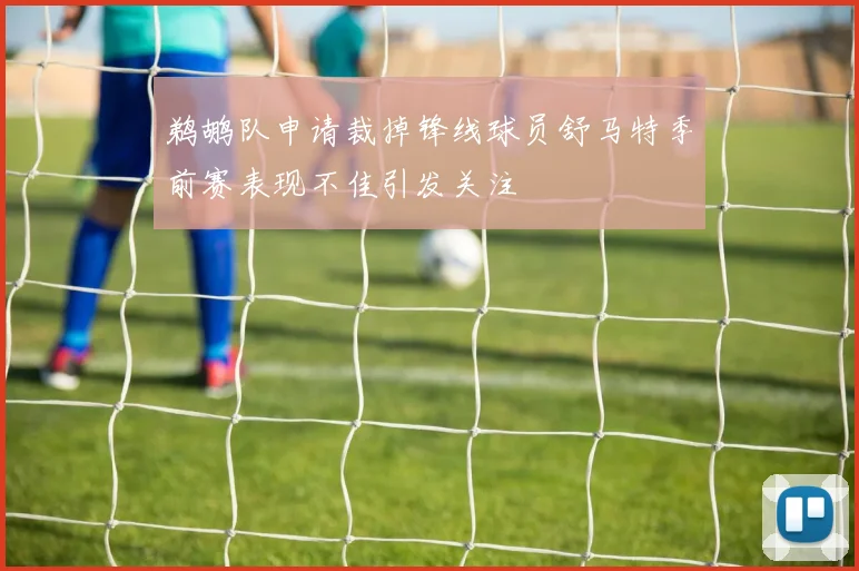 鹈鹕队申请裁掉锋线球员舒马特季前赛表现不佳引发关注