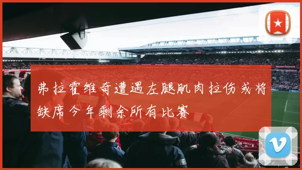 弗拉霍维奇遭遇左腿肌肉拉伤或将缺席今年剩余所有比赛