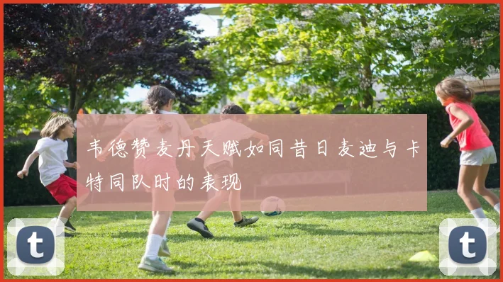 韦德赞麦丹天赋如同昔日麦迪与卡特同队时的表现