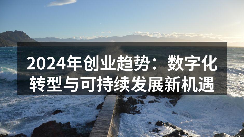 数字化转型助力创业者