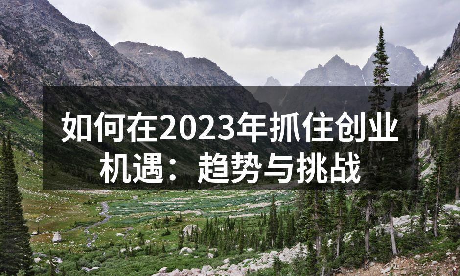 2023年创业市场趋势分析